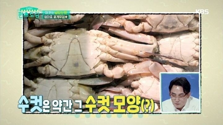 홍진영이 알려주는 꽃게 암수 구별법.jpg | 인스티즈