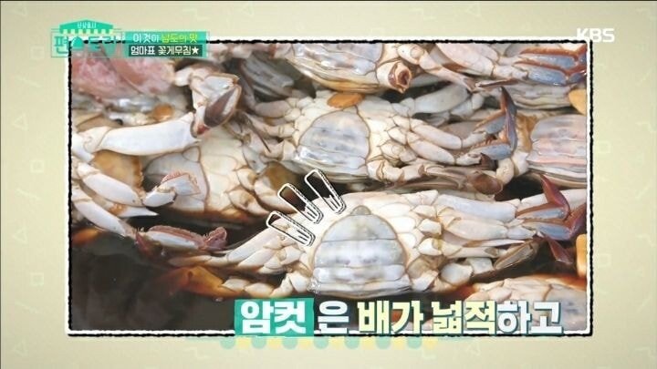 홍진영이 알려주는 꽃게 암수 구별법.jpg | 인스티즈