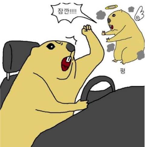 운전하다 개빡치는 만화 | 인스티즈