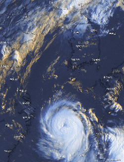 태풍 위성사진.gif | 인스티즈