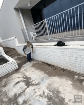 낙법을 배워야 하는 이유gif | 인스티즈