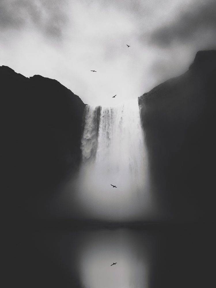 2020 아이폰 사진 어워드 수상작들 | 인스티즈