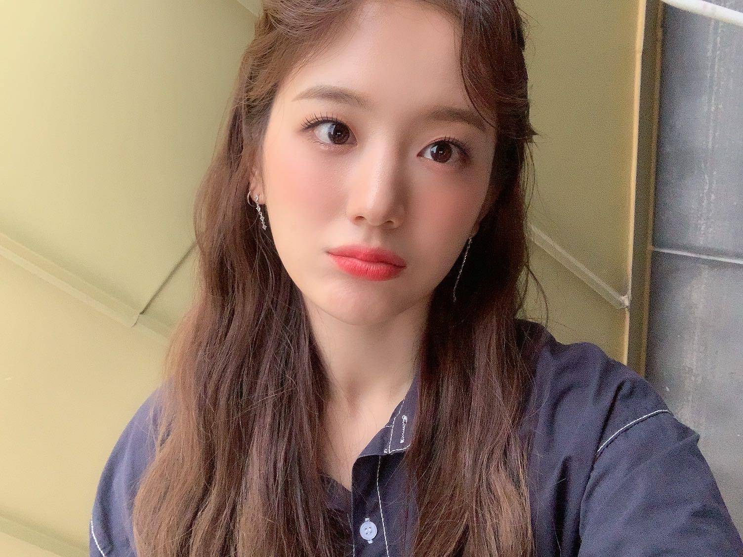 V라이브 채널에 올라온 프로미스나인 총 정리 2탄 | 인스티즈