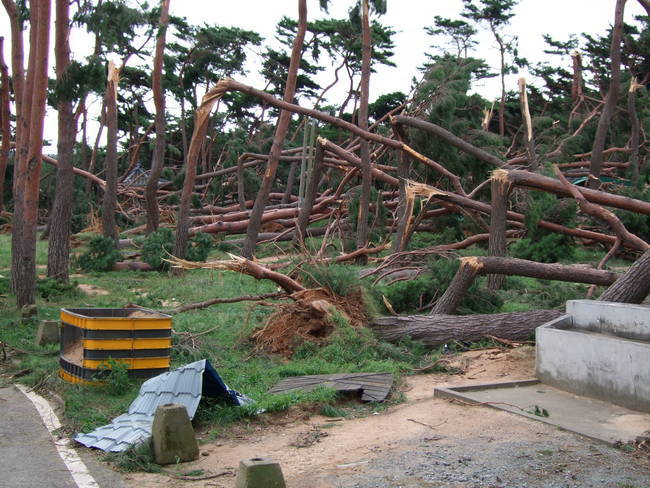 2010년 9월 태풍 곤파스.jpg | 인스티즈