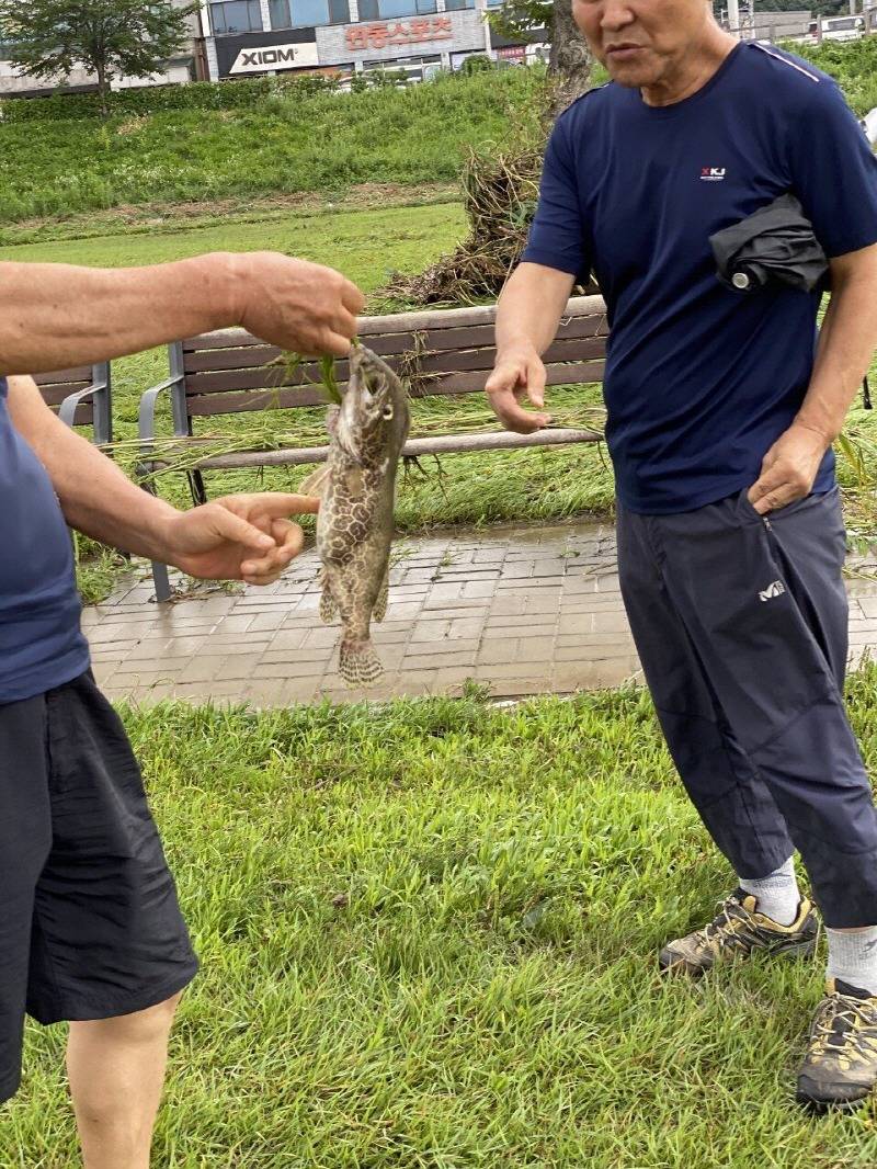 홍수 났던 대전 산책로 근황.jpg | 인스티즈