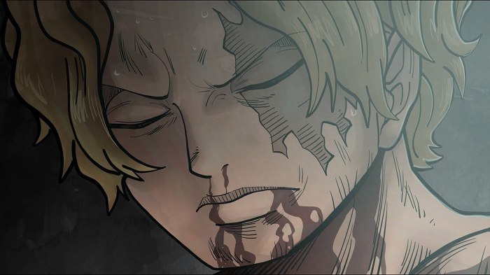 원피스 와노쿠니가 끝나면 전개될것들 | 인스티즈