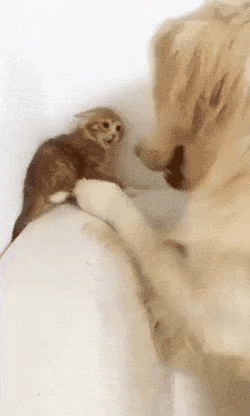 첫만남 - 이틀 후 - 일주일 후.gif | 인스티즈