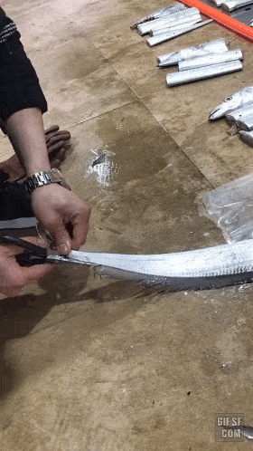 장인의 손질.gif | 인스티즈