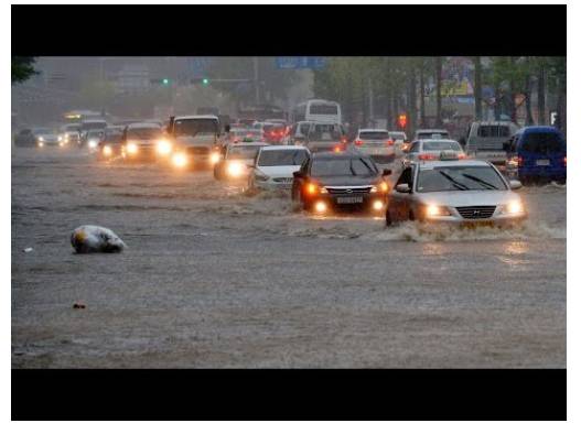 2020년 요약 | 인스티즈