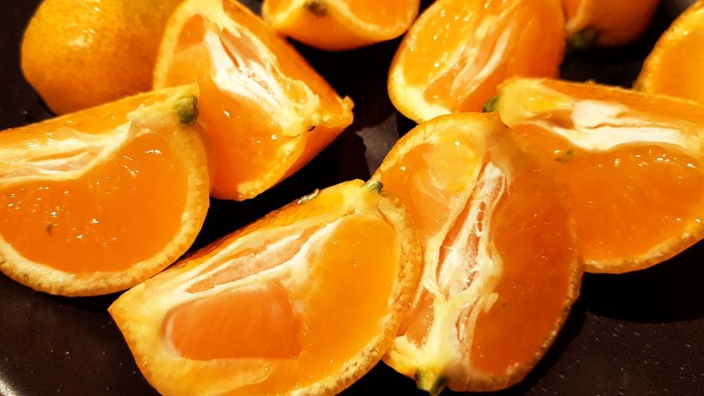 애기 입맛.jpg | 인스티즈