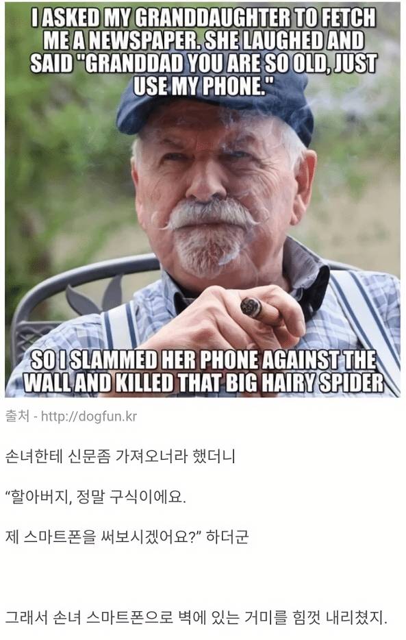 미국식 유머.jpg | 인스티즈