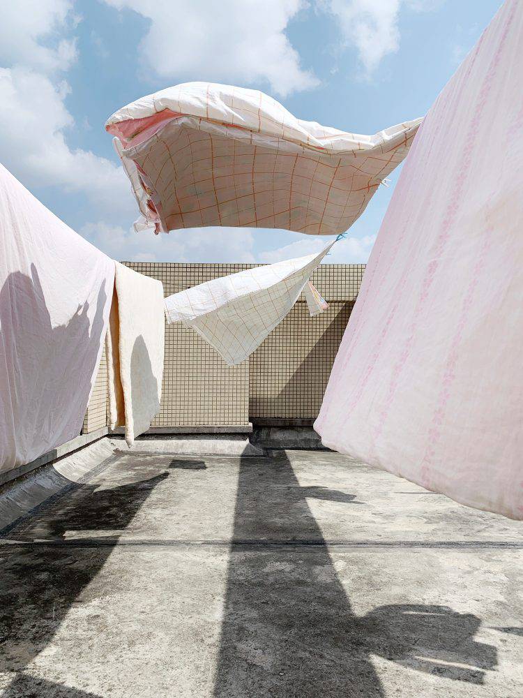 2020 아이폰 사진 어워드 수상작들 | 인스티즈