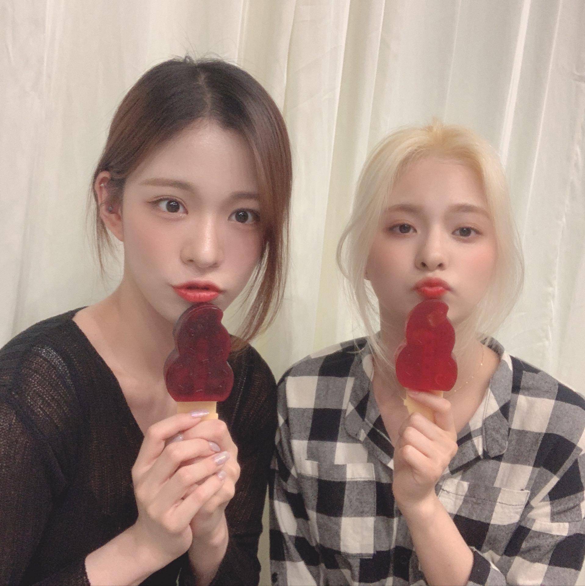 V라이브 채널에 올라온 프로미스나인 총 정리 2탄 | 인스티즈