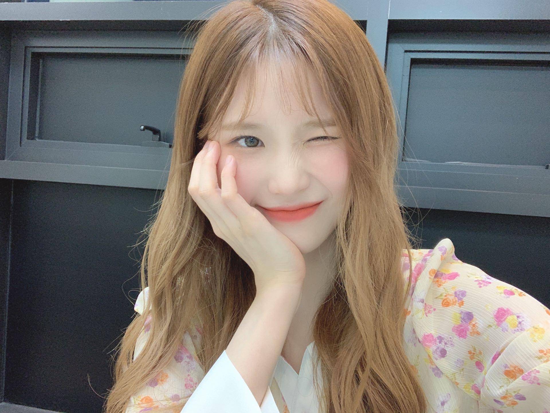 V라이브 채널에 올라온 프로미스나인 총 정리 2탄 | 인스티즈