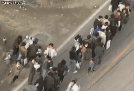 명절 대이동급이었다는 분당 신도시 모델하우스 오픈날 | 인스티즈