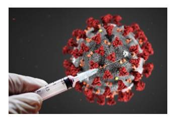 2020년 요약 | 인스티즈