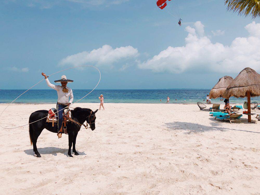 2020 아이폰 사진 어워드 수상작들 | 인스티즈