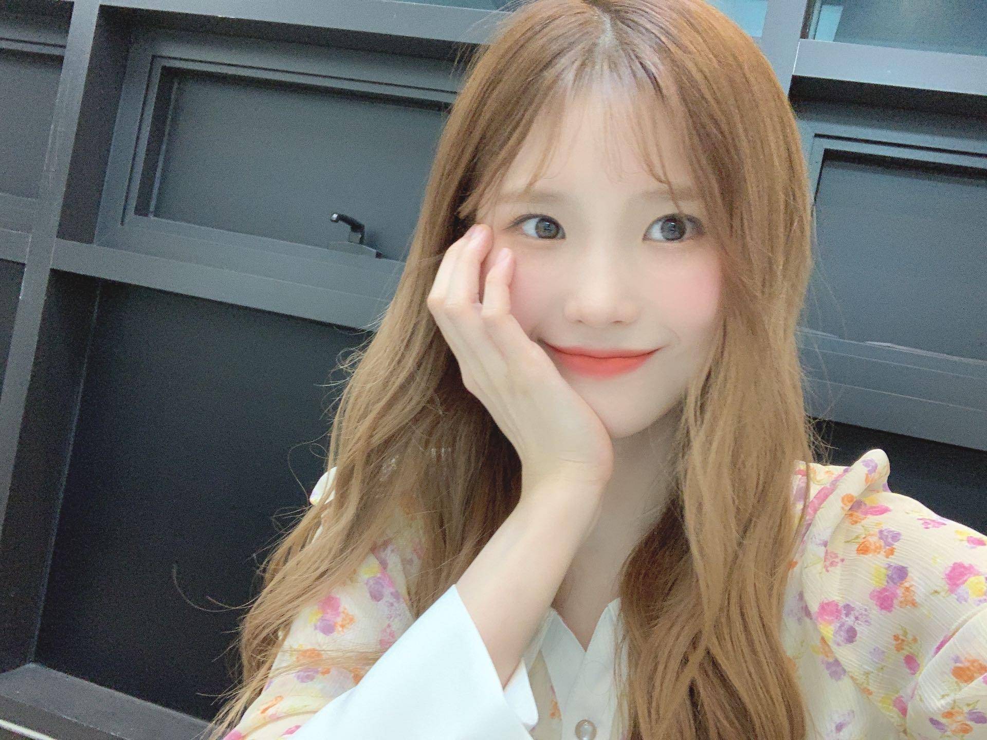 V라이브 채널에 올라온 프로미스나인 총 정리 2탄 | 인스티즈