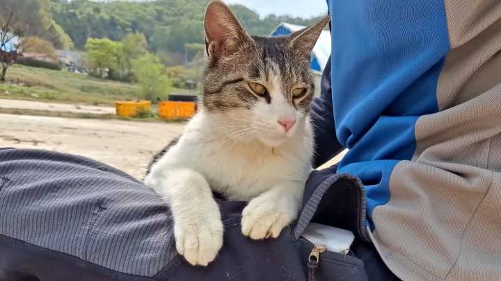 haha ha 앞에서 대놓고 광고하는데 거부감이 없다 | 인스티즈