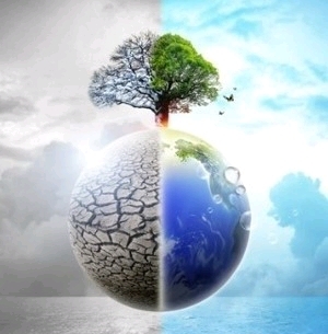 둘 다 중요한 문제인데 심각성의 체감이 다른 두 부류 | 인스티즈