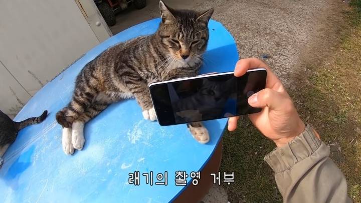 haha ha 앞에서 대놓고 광고하는데 거부감이 없다 | 인스티즈