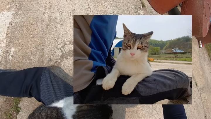 haha ha 앞에서 대놓고 광고하는데 거부감이 없다 | 인스티즈