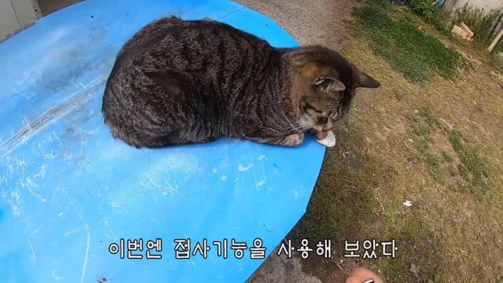 haha ha 앞에서 대놓고 광고하는데 거부감이 없다 | 인스티즈