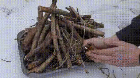 젖은 장작에 불이 잘 안붙는 이유.gif | 인스티즈