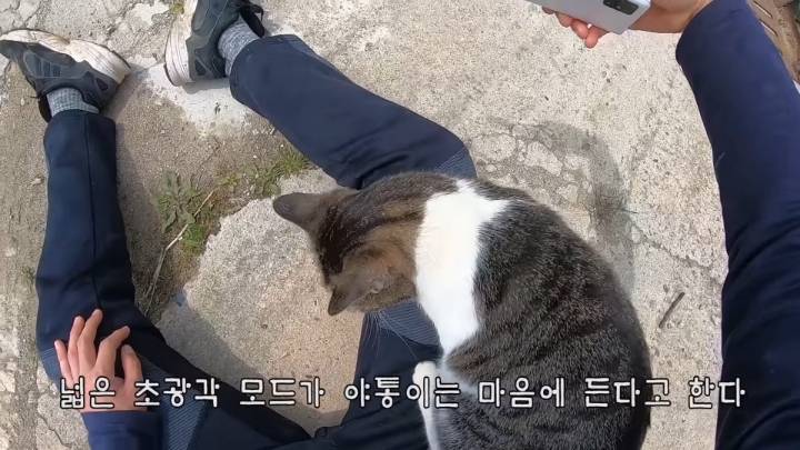 haha ha 앞에서 대놓고 광고하는데 거부감이 없다 | 인스티즈