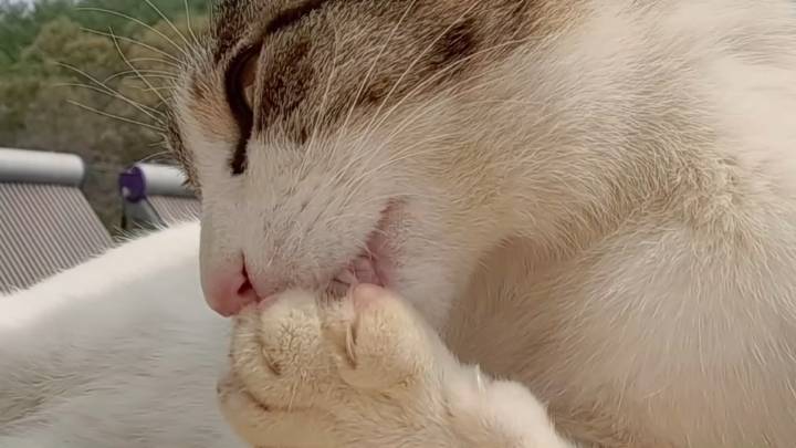 haha ha 앞에서 대놓고 광고하는데 거부감이 없다 | 인스티즈