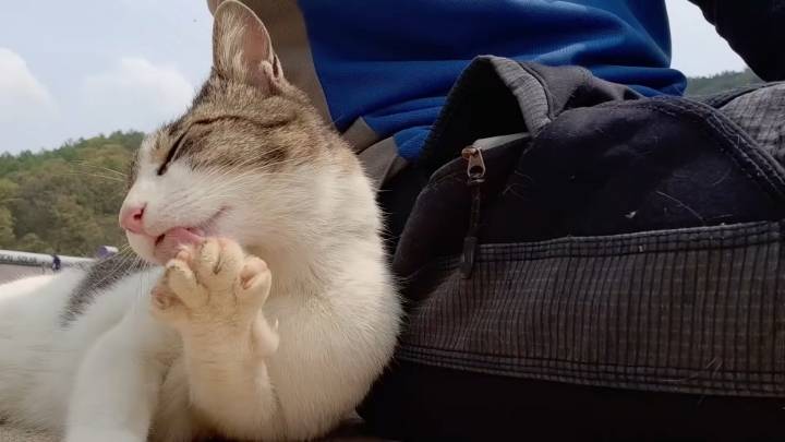 haha ha 앞에서 대놓고 광고하는데 거부감이 없다 | 인스티즈