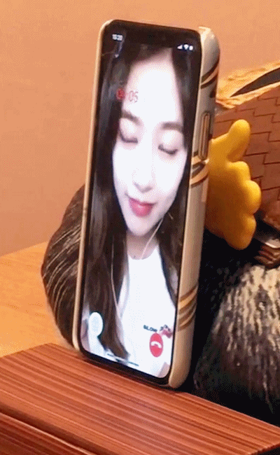 여자아이돌과 영상통화하는 느낌.gif | 인스티즈