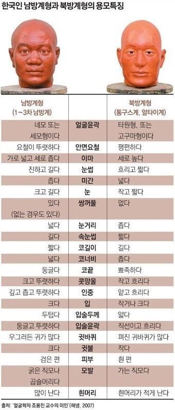 한국인 남방계형과 북방계형 외모 특징 | 인스티즈