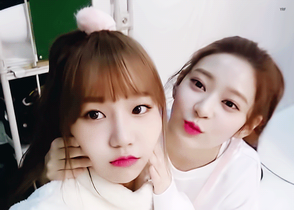 빠지면 답도 없다는 덕후몰이상 아이돌.jpgif | 인스티즈