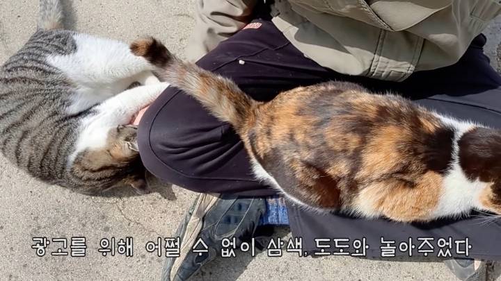 haha ha 앞에서 대놓고 광고하는데 거부감이 없다 | 인스티즈