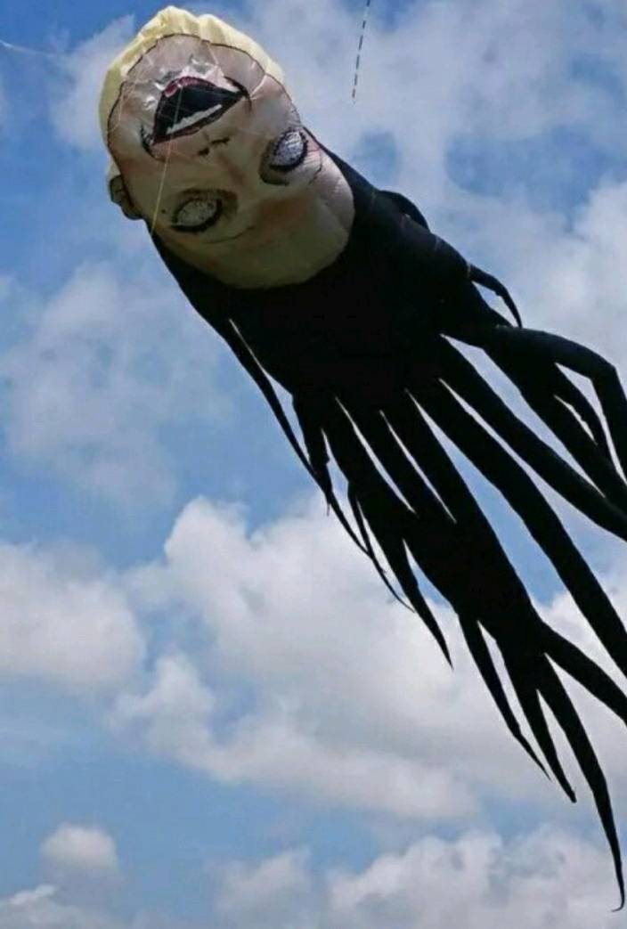 일본 연날리기 대회 1등수상 이유 | 인스티즈