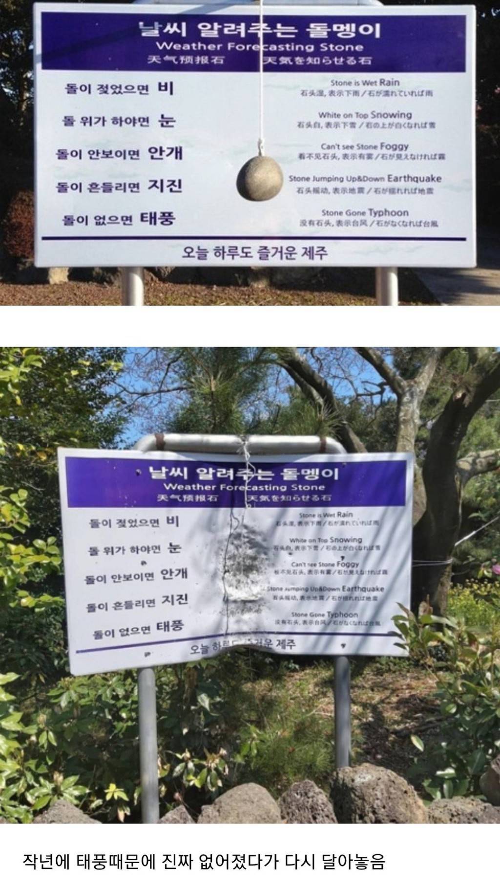 날씨 알려주는 돌멩이 근황.jpg | 인스티즈