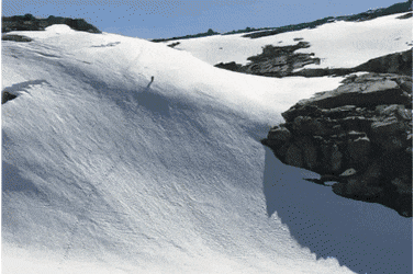 남자가 보면 미쳐버리는 짤.gif | 인스티즈