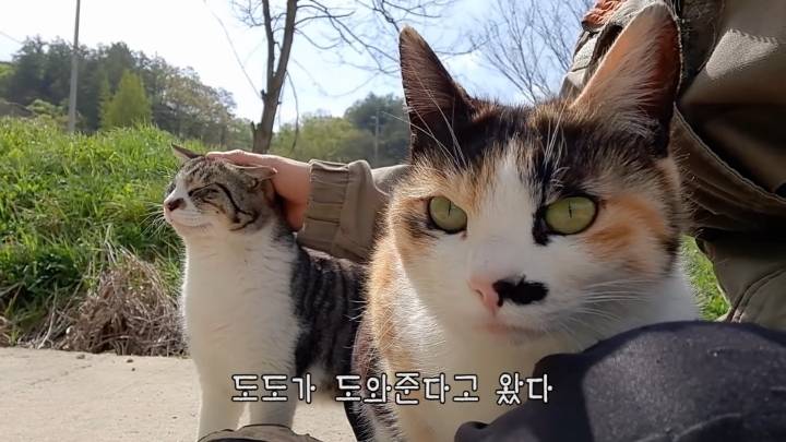 haha ha 앞에서 대놓고 광고하는데 거부감이 없다 | 인스티즈