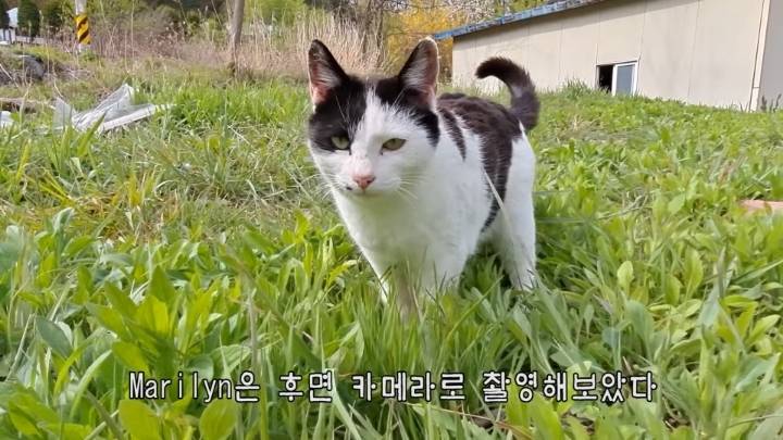 haha ha 앞에서 대놓고 광고하는데 거부감이 없다 | 인스티즈