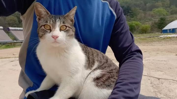 haha ha 앞에서 대놓고 광고하는데 거부감이 없다 | 인스티즈