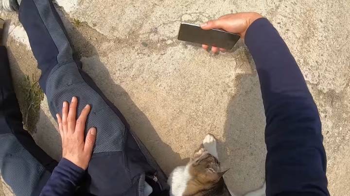 haha ha 앞에서 대놓고 광고하는데 거부감이 없다 | 인스티즈