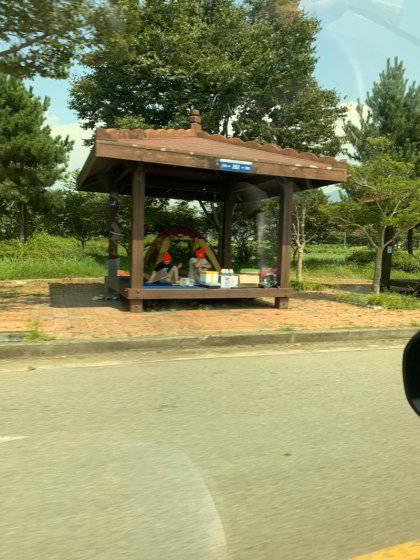 최근 휴가지 풍경 | 인스티즈