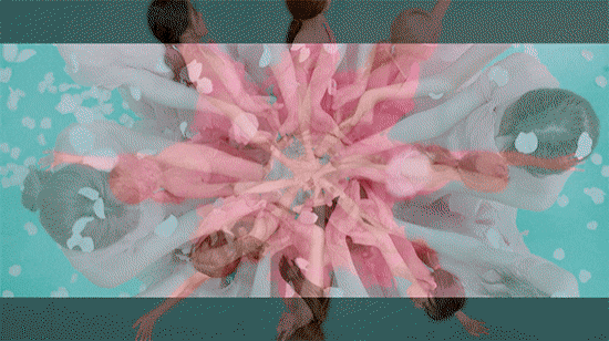 아이돌이 안무로 꽃을 표현하는 방법.gif | 인스티즈