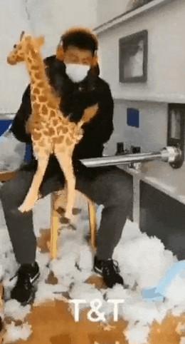 기린 인형 만들기 | 인스티즈