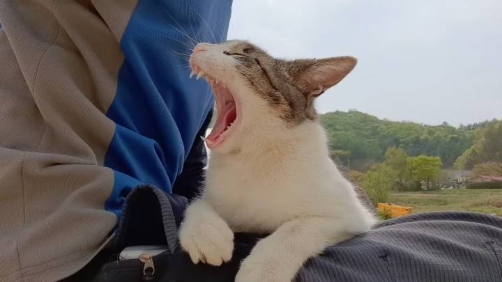 haha ha 앞에서 대놓고 광고하는데 거부감이 없다 | 인스티즈