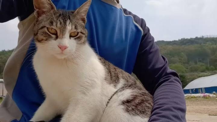 haha ha 앞에서 대놓고 광고하는데 거부감이 없다 | 인스티즈