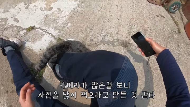 haha ha 앞에서 대놓고 광고하는데 거부감이 없다 | 인스티즈