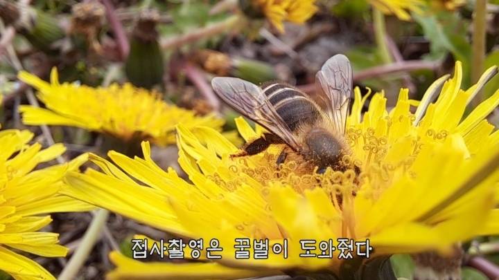 haha ha 앞에서 대놓고 광고하는데 거부감이 없다 | 인스티즈