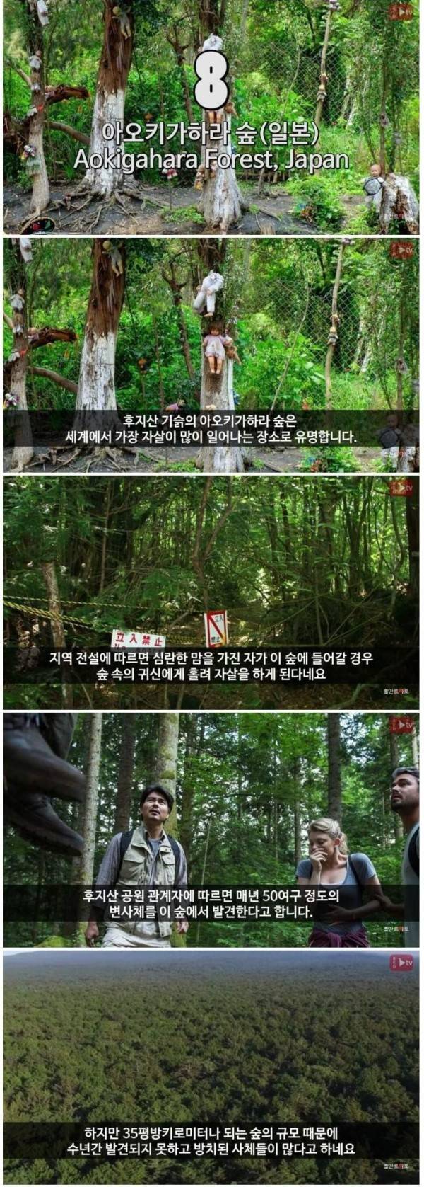 세계의 미스테리 장소.jpg | 인스티즈